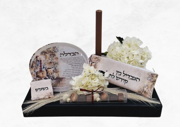 Artwork Havdalah Set in Bronze (Feldart)
